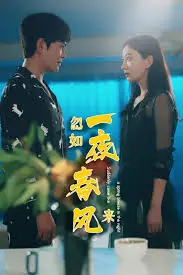 《忽如一夜春风来》：中年危机的爱情救赎？当婚姻遭遇激情，我们该何去何从？