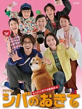 《柴犬的规矩》：爆笑日剧揭秘狗痴编辑部！柴犬控必看，让你萌到融化！