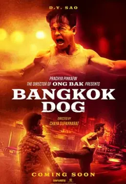 《曼谷战狼》：热血激战，正义与生存的曼谷生存法则，看得我热血沸腾！